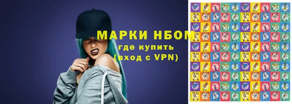 соль ск Ельня